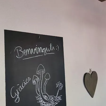 Apartament A Pi, Apartment